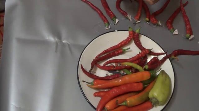 Строительные Размышления