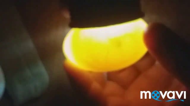 овоскопирование инкубационного яйца /Овоскопирование яиц на 5й день / Embryo Eggs