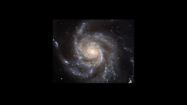 Professor Shields on Black Holes смотреть онлайн