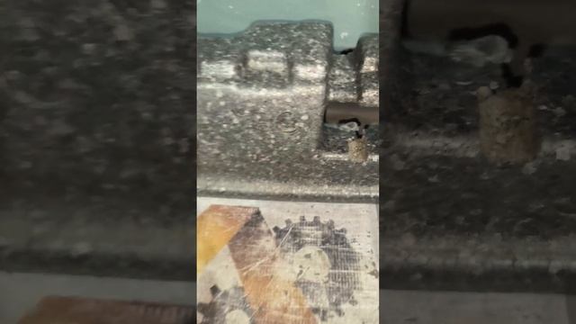 Автомобильные романтические мечты