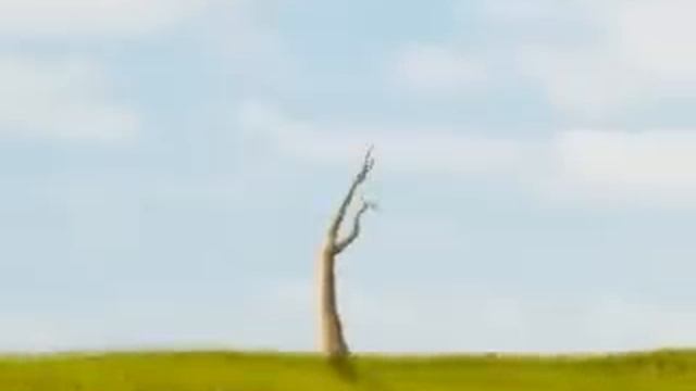 After Effects - Growing Tree смотреть онлайн