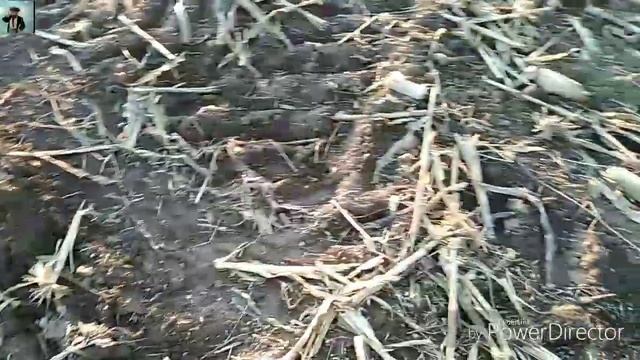 Субботний выезд в поле или коп после работы смотреть онлайн