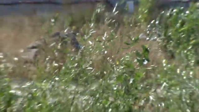 А ВЫ ВИДЕЛИ ? ОЗЕРО В ЦЕНТРЕ КИЕВА MPG смотреть онлайн