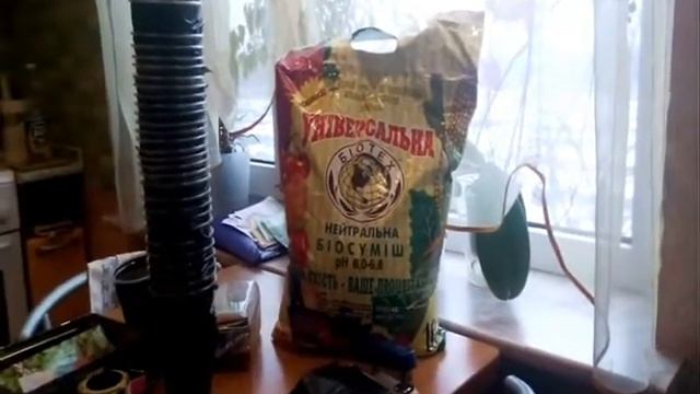 выращивание рассады помидор1 смотреть онлайн