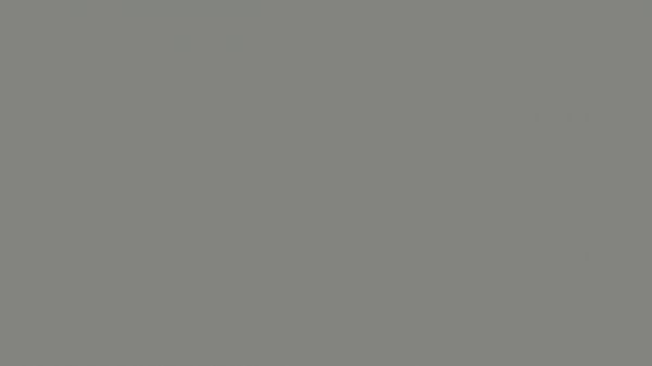 BATTLESHIP GREY - rgb hex color #848482