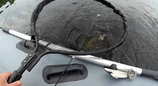 Рыбалка в непогоду. Лещ балдеет от этого Аромата. Ловля леща . Рыбалка на реке смотреть онлайн