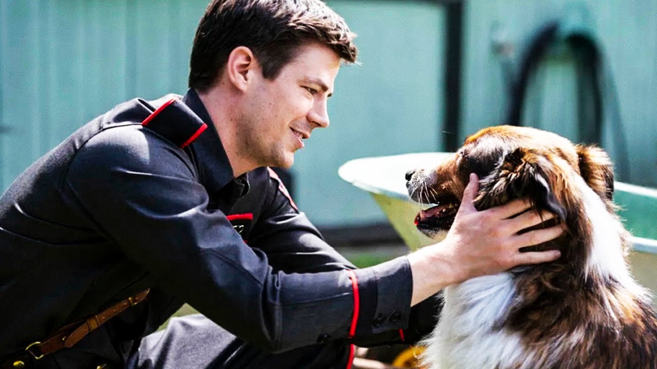 Руби, собака-спасатель — Русский трейлер (2022) смотреть онлайн