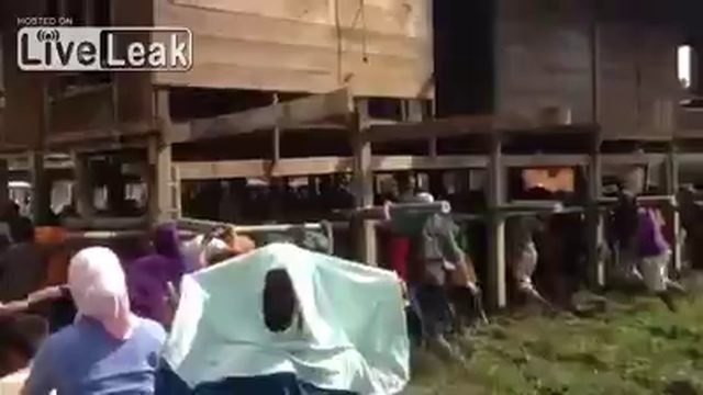 Единство-это сила смотреть онлайн