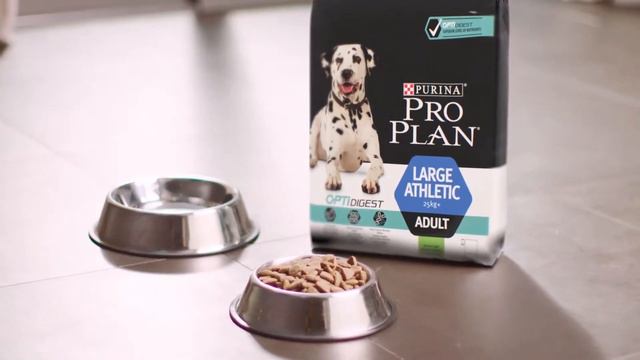 Ervaar het verschil met PRO PLAN OPTIDIGEST смотреть онлайн