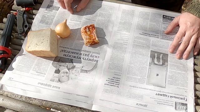 Не ходи в лес без газеты! Рассказываю секретный способ