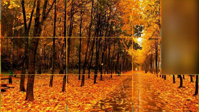 А Я ЛЮБЛЮ ОСЕНЬ..... смотреть онлайн