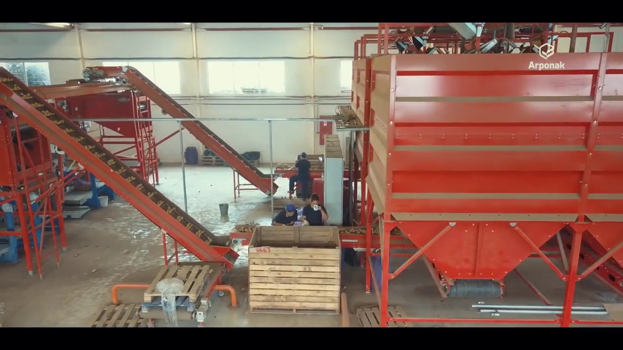 Оборудование сортировки овощей _Агропак_ смотреть онлайн