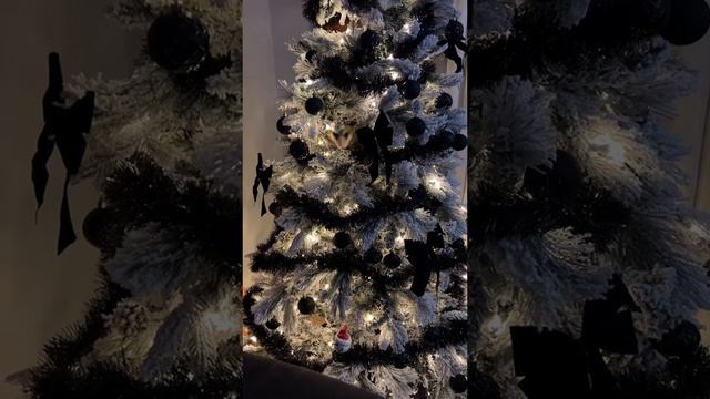 01-01-2024 смотреть онлайн