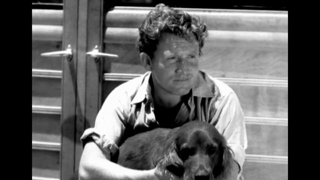 Katharine Hepburn & Spencer Tracy - Légendes Du Cinéma
