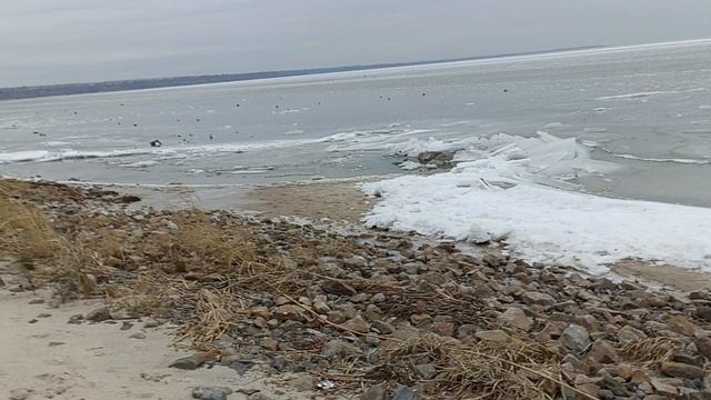 Прогулка 17 декабря. смотреть онлайн