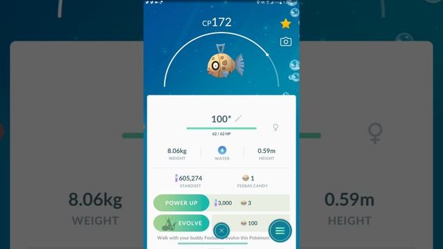 Feebas Evolution Milotic | 100iv Feebas evolve | Milotic смотреть онлайн
