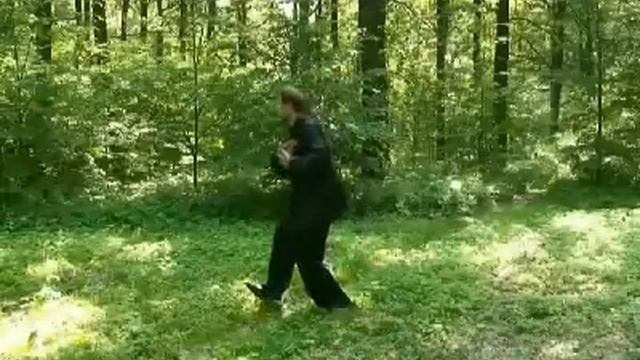 lianshi4 тайзцицюань стиля У (лянши) смотреть онлайн