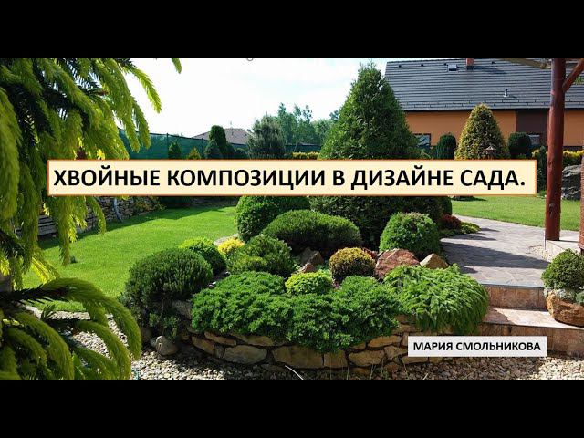 Хвойные композиции в дизайне сада. смотреть онлайн