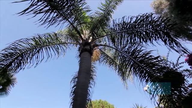 NAP067 - Hotel Terme La Pergola & Villa Flavio, Italien / Ischia смотреть онлайн