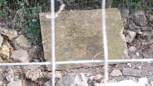Шале и розы в горах Италии. Птичий двор, утята. смотреть онлайн