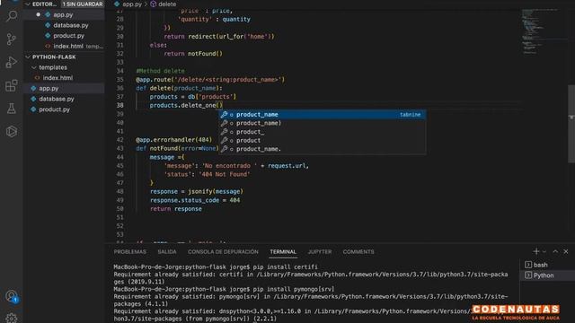 Aplicación CRUD con Python, Flask y MongoDB смотреть онлайн