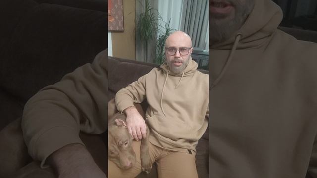 Мусульмане и собаки.. В чем суть конфликта.