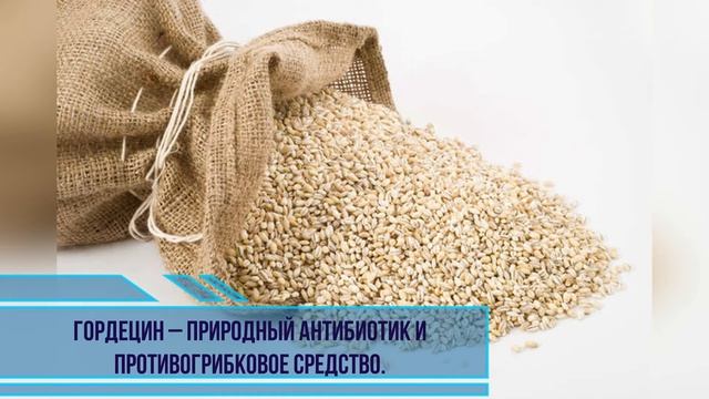 Шоу Акробатов и Аэробатики