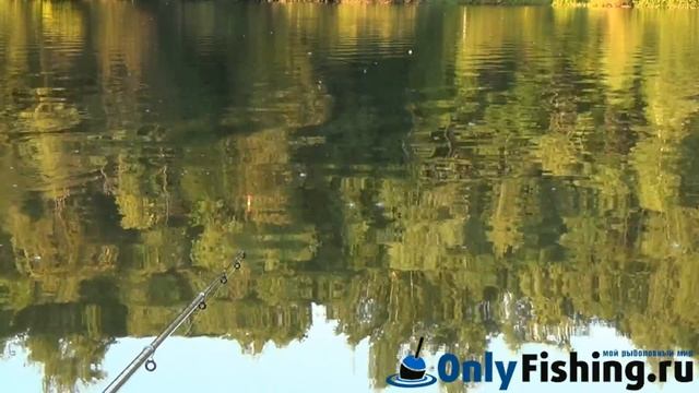 Рыбалка на реке Шибахта. Ловля карася и карпа. Отчет о рыбалке смотреть онлайн