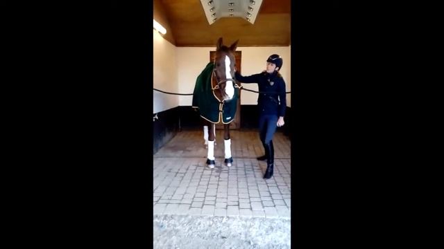 Kate Cowell and Samba Dancer смотреть онлайн