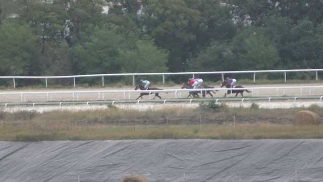 24.09.2017 - Осенний приз на кобылах 2-х лет Чистокровной верховой породы. Сарта смотреть онлайн