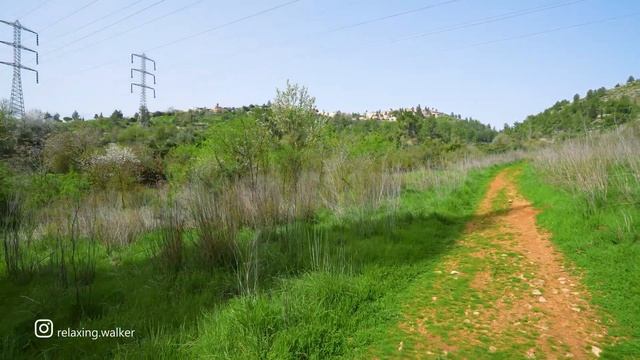 SPRING JERUSALEM. The Most Relaxing Walk In The Suburbs Of Mevaseret Zion