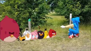 Every Hero And Angry birds vs Zombies Three Compilation-Bowser12345