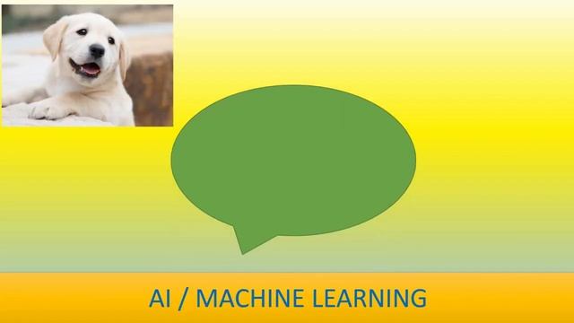 Wonder of Python | What can we do with Python ? | Sinhala смотреть онлайн