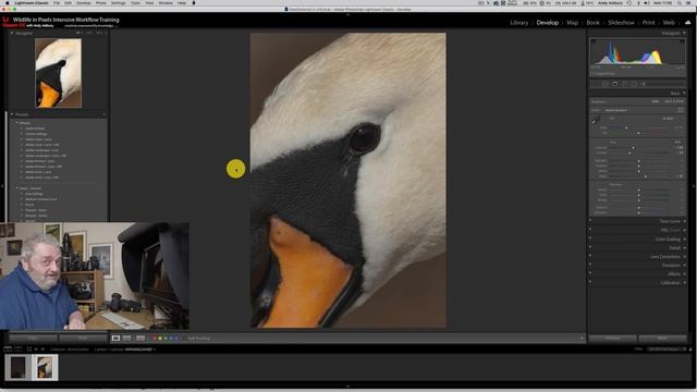 Super Resolution in Adobe Camera Raw - Awesome New Feature смотреть онлайн