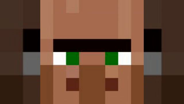 Villagers From Minecraft
