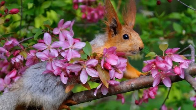Егор воспользовался советом тетушки, как отвадить многочисленных родственников