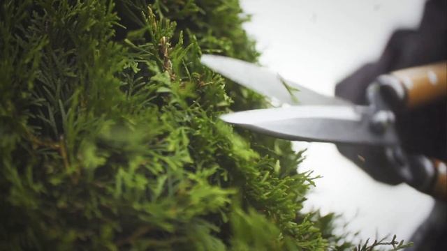 Nivaki supervision смотреть онлайн