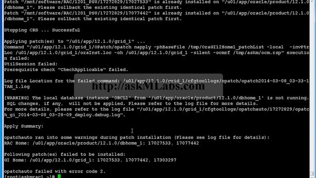 rac 121011 psu patch standard cluster NoACFS Apply part2 смотреть онлайн