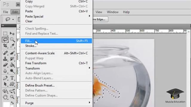 Adobe Photoshop CS5: Content-Aware fill смотреть онлайн