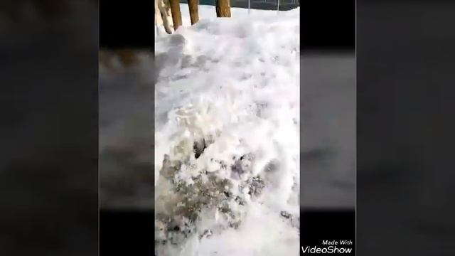 Эпик-Форт.Делаем замок из снега!!! смотреть онлайн