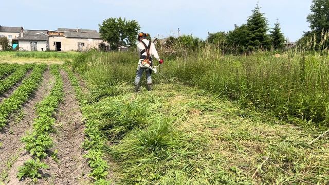 Штиль ФС 460 С-ЕМ с трехлопостным ножём по высокой траве| Stihl FS 460 C-EM with Brush Cutting blad смотреть онлайн