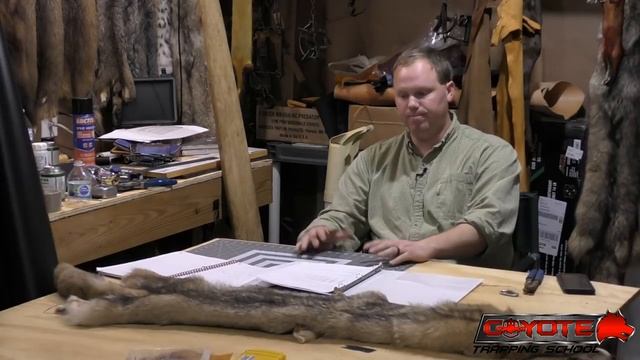 Fur Tanning Options - Coyote Trapping School Podcast - Episode 35 смотреть онлайн