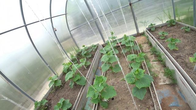 Вот и лето пришло! смотреть онлайн