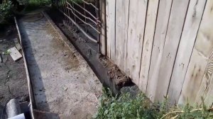 Откачка Сливной ямы у свиней новым насосом. Как качает фекальный насос мул с ямы.