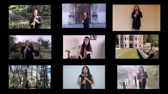 Vals de Dimitri Shostakovich adaptado para ensamble de clarinetes смотреть онлайн