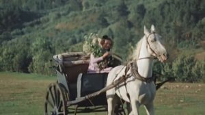 Не обещайте деве юной любови вечной на земле (посвящается женам декабристов)