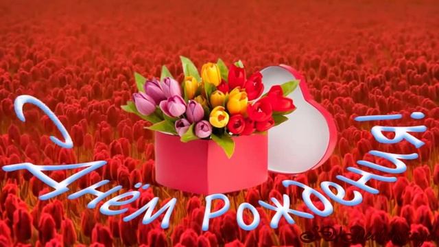 С Днем Рождения! Поздравления С Днем Рождения! В подарок тюльпаны смотреть онлайн