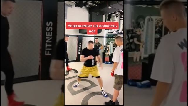 Игровое управление на развитие ловкости и скорости ног #бокс #боксонлайн #тренерпобоксу #работаног смотреть онлайн