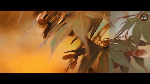 10 Cinematic LUTs Pack FREE Download || Best LUT Preset (2019) смотреть онлайн