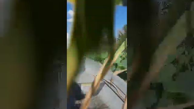 11 декабря 2022 г. смотреть онлайн